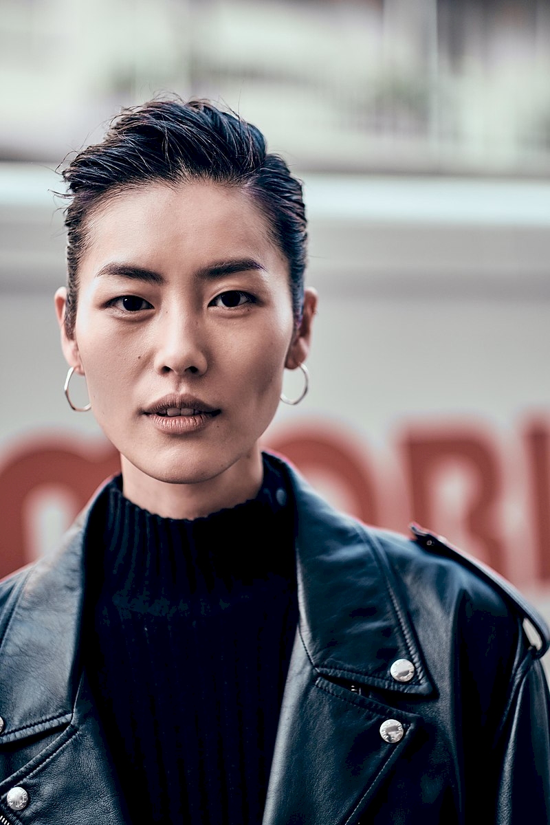Liu Wen