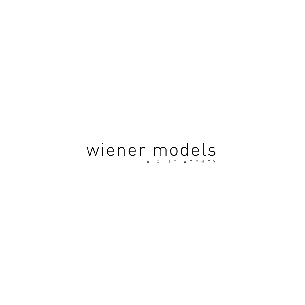 Wiener Models